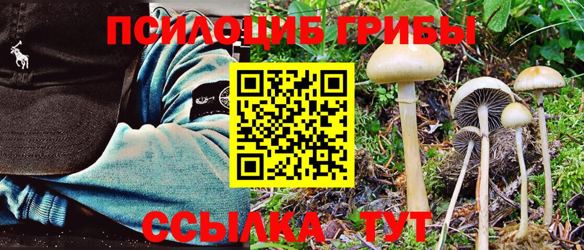 Галлюциногенные грибы Magic Shrooms  Вход с VPN  Семилуки  магазин    Псилоцибиновые грибы ЛСД 