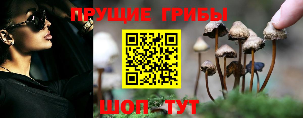 Псилоцибиновые грибы мухоморы Семилуки